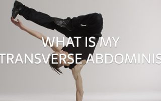 What is my transverse abdominis